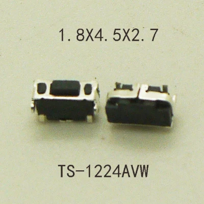 TS-1224AVW