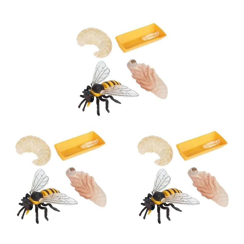 

Набор из 12 фигурок насекомых, Life Cycle Of Honey Bee, реалистичные строительные игрушки, развивающая научная модель, игрушка