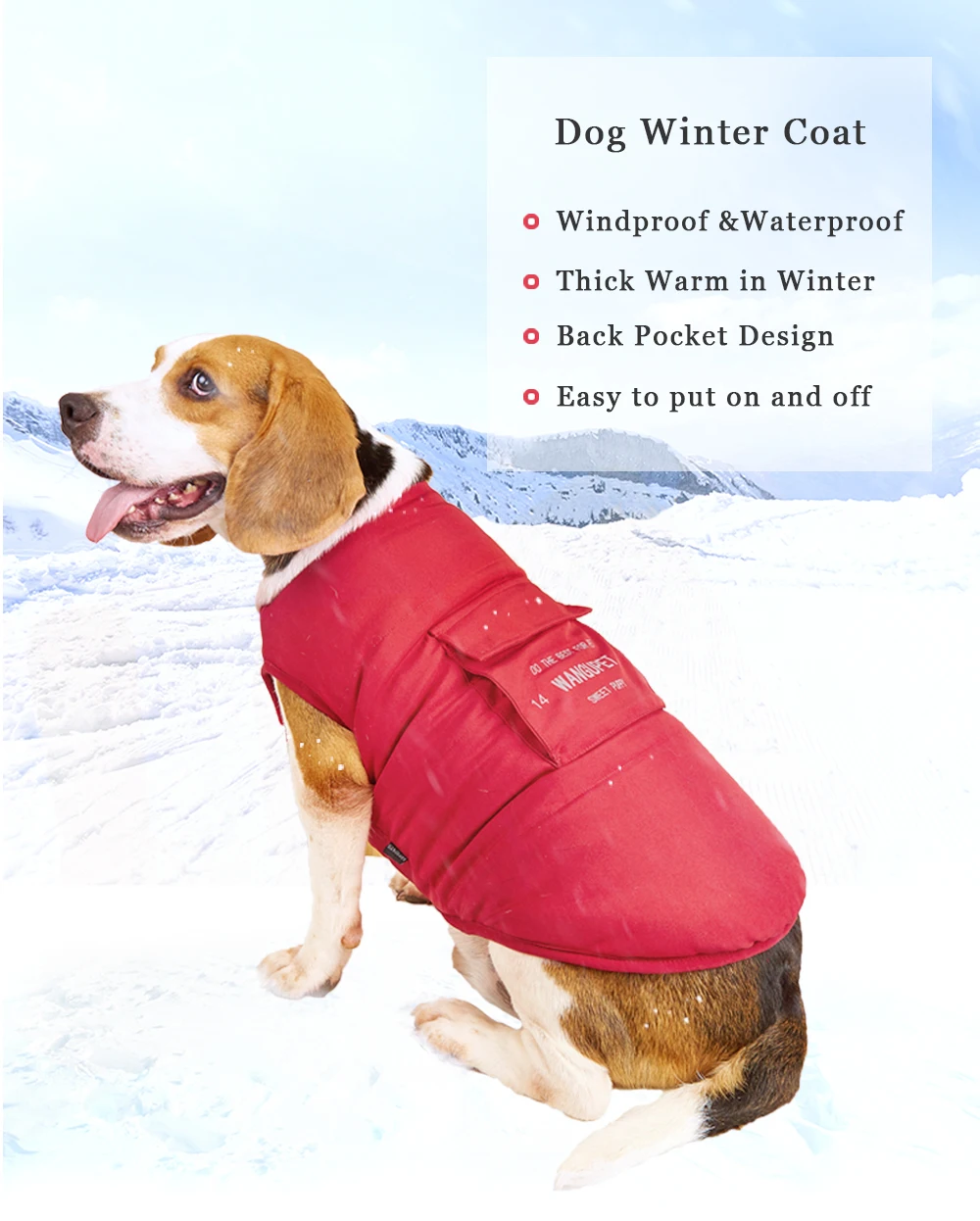 Do All Dogs Have Winter Coats