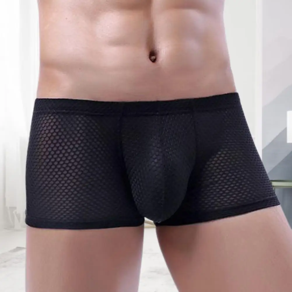 

Men Slim Fit Shorts Briefs Summer Thin Low-rise Solid Color Underwear Breathable Mesh Elastic Waistband Panties Underwear