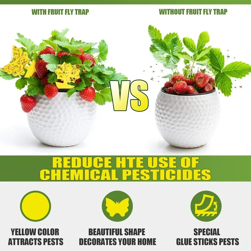 Insect Traps Sticky Yellow