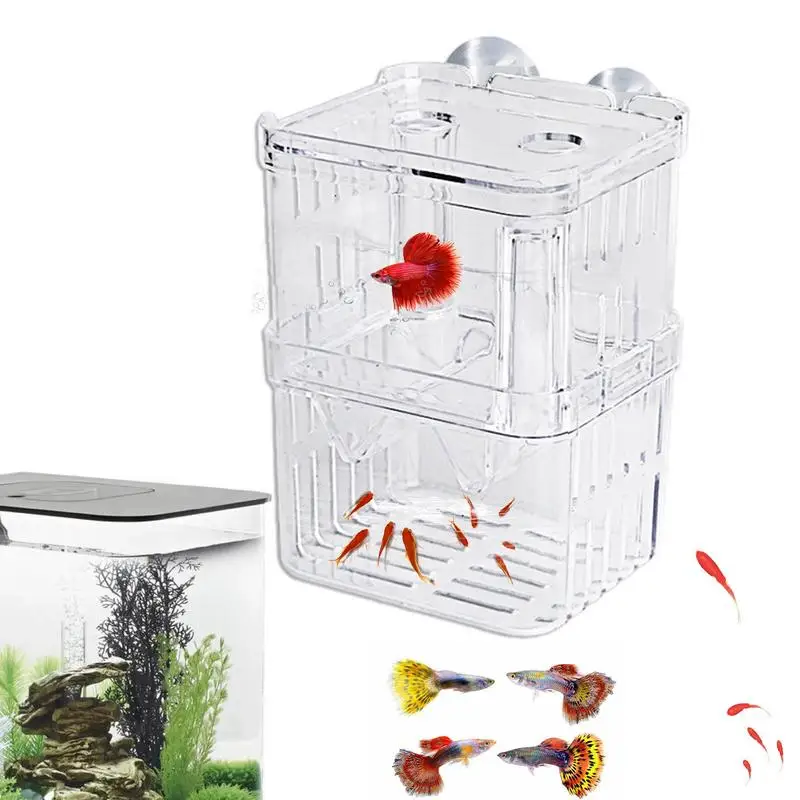 Scatola Di Isolamento Per Allevamento Di Pesci In Acrilico Betta Fish Aquarium Breather Fish Tank Incubatrice Da Cova Fish House Home Incubatoio