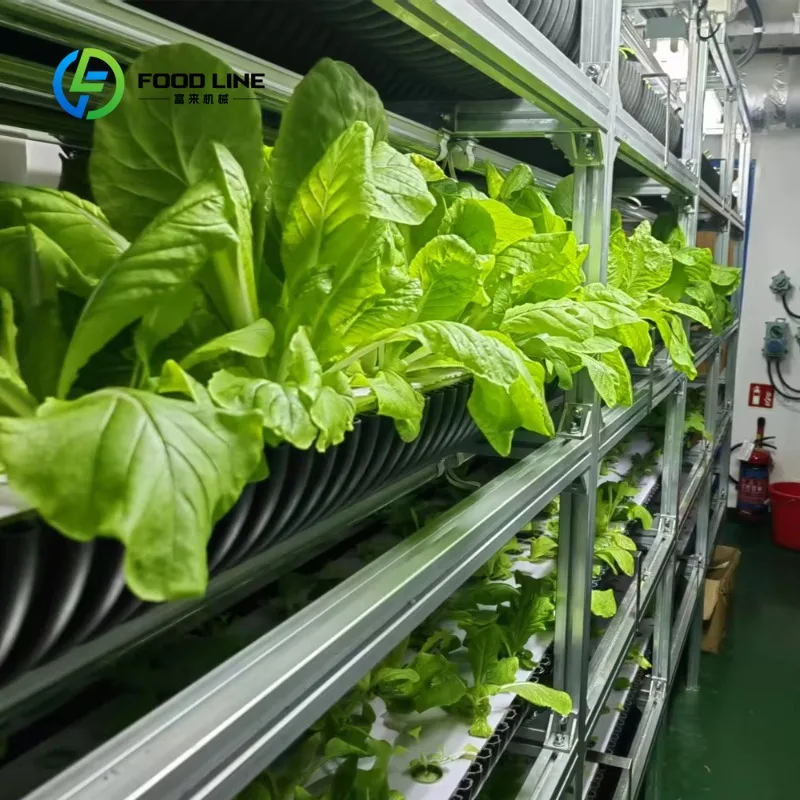 รูปสินค้า Smart Container Mushroom Farming System - ระบบปลูกเห็ดอัจฉริยะในตู้คอนเทนเนอร์