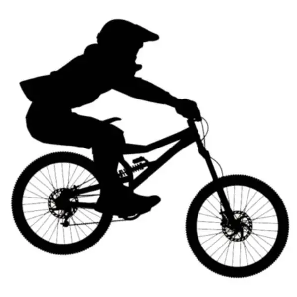 zi sheng bike Parts Factory Store