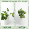 Monstera Shaped Plant Support Pole Sturdy Alloy Support Pile Easy Installation Decorative Plant Stand For Small Medium Plant 4