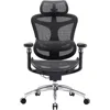 Doro C300 Pro Ergonomic Office Chair with Ultra-Soft 6D Armrests, Dynamic Lumbar Support, Seat Depth Adjustment and Adjustable 1
