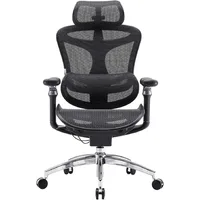 Doro C300 Pro Ergonomic Office Chair with Ultra-Soft 6D Armrests, Dynamic Lumbar Support, Seat Depth Adjustment and Adjustable 1