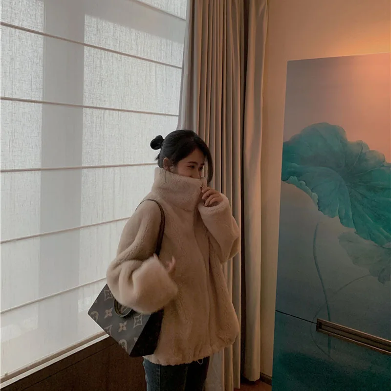The New Korean Version of Lamb Wool Coat Stand Collar Loose Grain Sheep Sheared Fleece Fur Integrated Coat Women's Fur Winter
