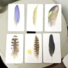 Divine Feather Messenger Oracle Card Games Inspirational Deck 10.3*6cm 44 Pcs Cards 6