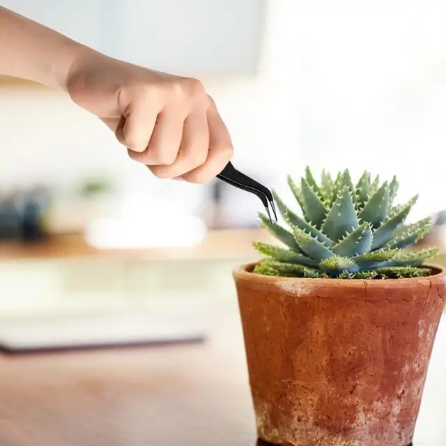 Terrarium Tools 16Db Mini Garden Szerszámok Zamatos Öntözési Palack Mint Növényi Kiegészítők Kertészeti Kézi Készlet - Image 3