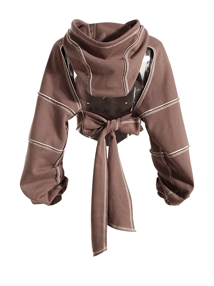 [EAM] Brown Back Bow Irregular Cut-out Sweatshirt New Hooded Long Sleeve Women Big Size Fashion Tide Spring Autumn 2026 1DF1820