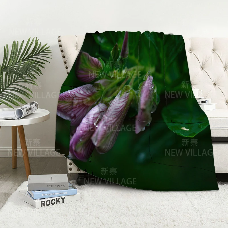 ���� ��信 ���� ����� ���� ���� ���� ���� ������ �ܿ� ħ�� Ŀ�� ���� ��� ���� ��� ����̾� �ö��� ������ ������ ��Ʈ ���Ÿ�