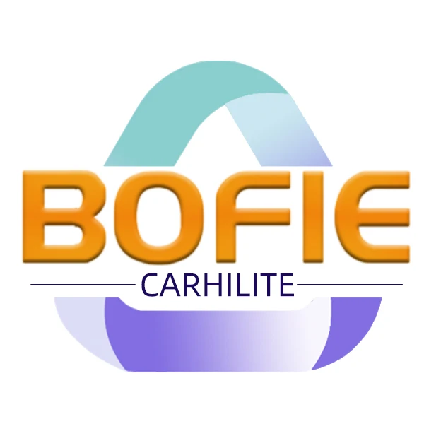 BoFie Car Mod HiLites Store