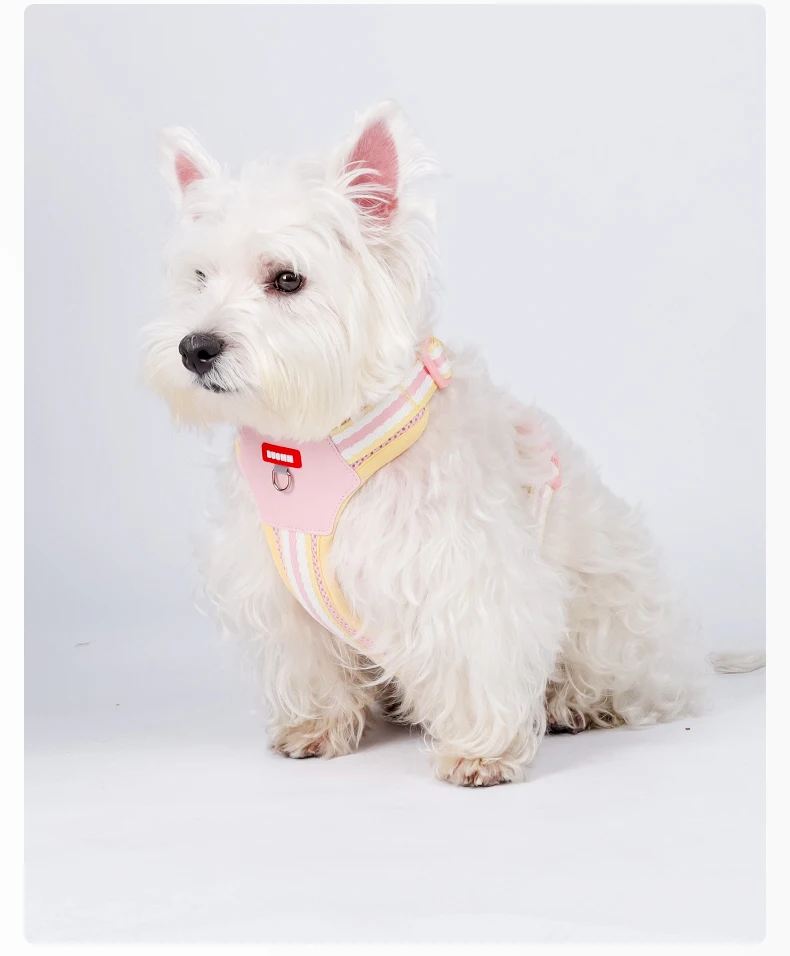 Color Block Harness For Small Dogs Breathable Mesh Pet Walking Lead_voghion.com