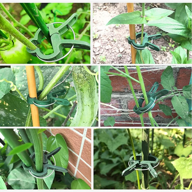 Rögzítőelem Üvegházhatású Konzol Pólus Rögzített Bilincs Növények Virág Palánták Szárát Tartó Növény Oltó Tét Csatlakozó Klip - Image 6