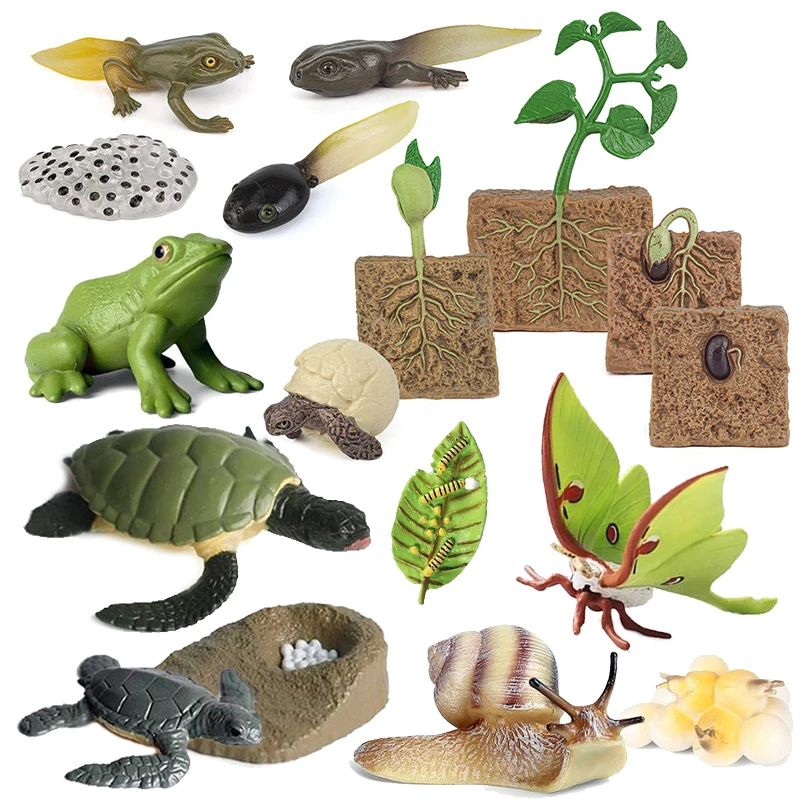 Plastic Model Toys Simulated Animal Growth Cycle Parent-child Education Puzzle Honeybee Turtle Butterfly Frog Ladybug Model TMZ childrens toys,parent child interactive toy