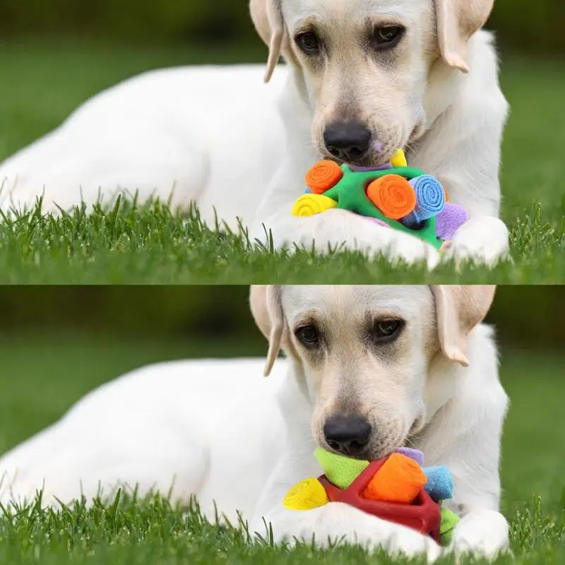 

Furry Fellow Dog Toy Encourages Natural Foraging Skills Unbreakable Sniffle Interactive Treat Ball Dog Puzzle Toy Ball For puppy