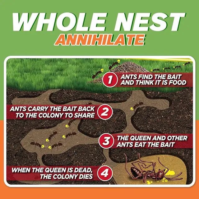 Hangya-Gone Csali Hangyák Anti-Vonzerő Ansu Gyógyszer Kis Hangya Gyógyulás Iindoor - Image 4