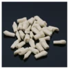 Frasaco AG3 Type Fit Dental Replacement 32 Size Screw-in Teeth Model M8022-2 Typodont Standard Practice Filling Restoration Demo 4