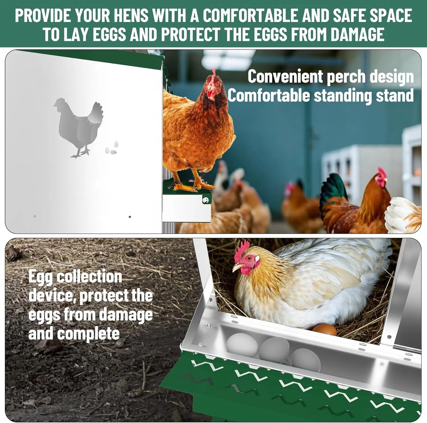 Chicken Nesting Box with Legs 4