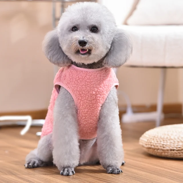 Embroidered Bear Puppy Autumn Clothes Pink Khaki Cute Pet Vest Apparel Chihuahua Small Medium Breeds Puppy 2024 Bulldog Outfit 5