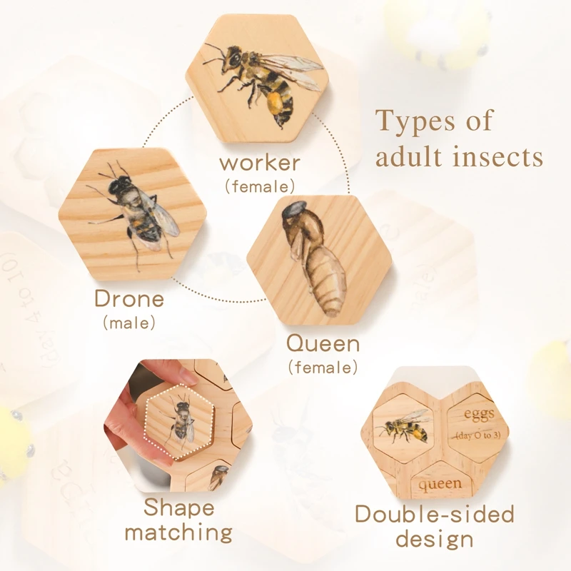 Honeybee Growth Cycle Cognitive Card  Wooden Beehive Bees Grab Toys  Hand And Foot Coordination Game  Infant Cognitive Toy  Gift 5