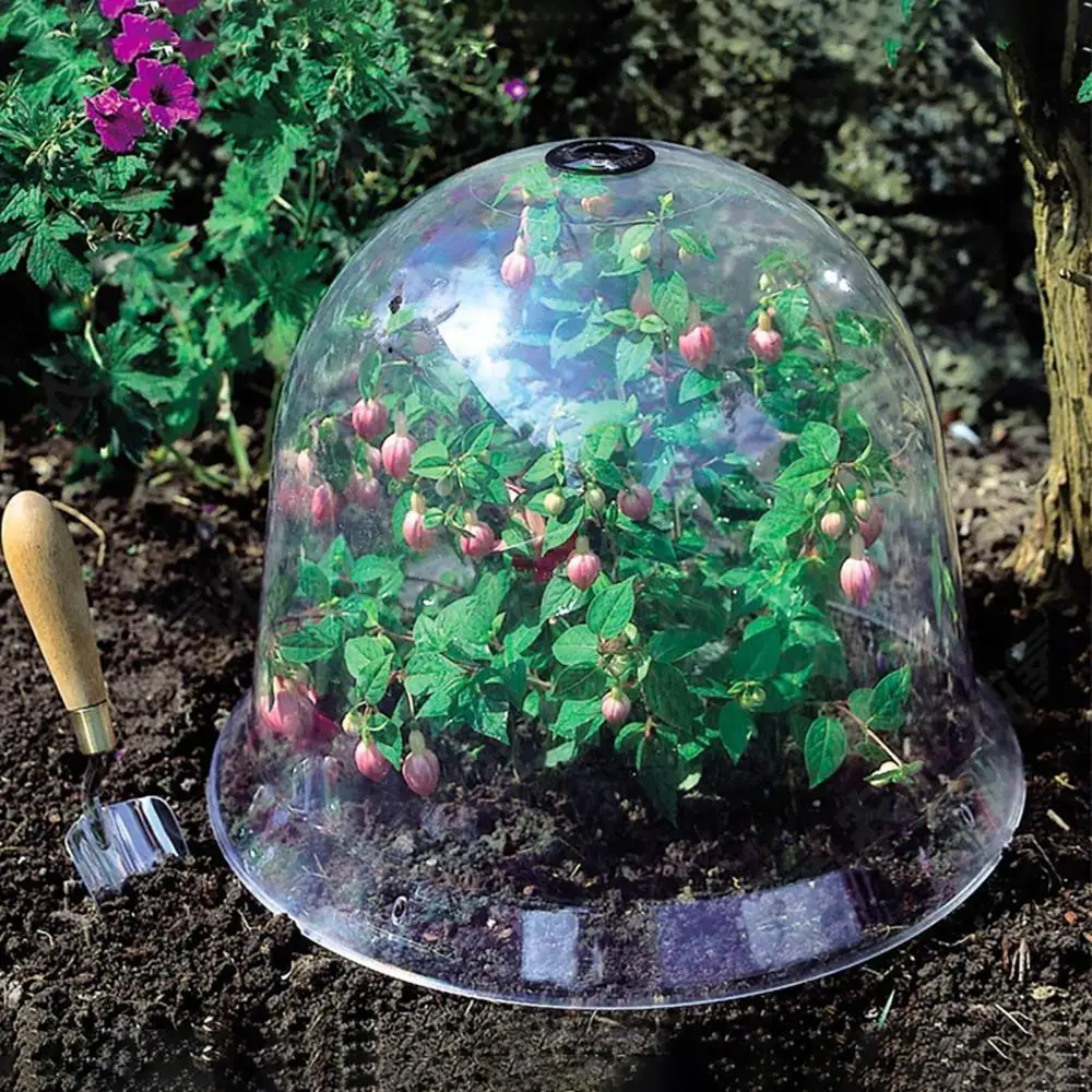 

3Pcs Plant Cover Reusable Light Transparent Anti-frost Greenhouse Garden Planting Thermal Warm Dome Cloche Protective Cover