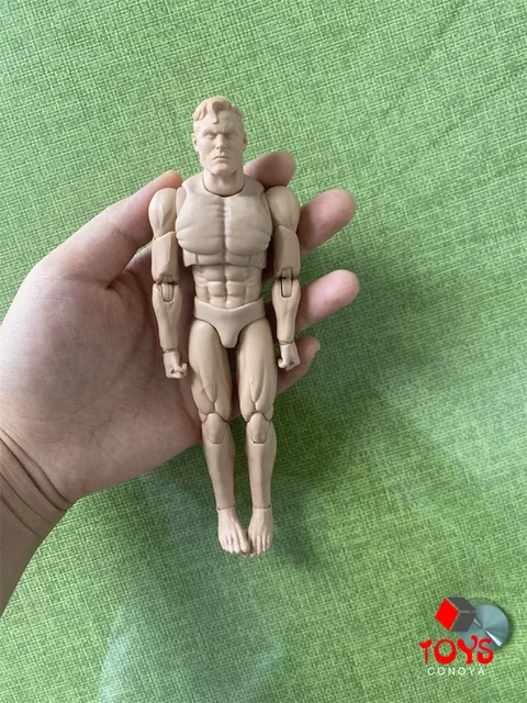 筋肉フィギュア 黒い台座付き 51zuZK5itJL._AC_SY200_QL15_.jpg