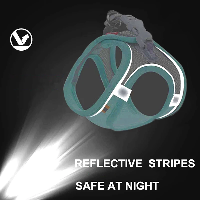  ϳ׽         ݻ ⼺  ߿ å  ׼