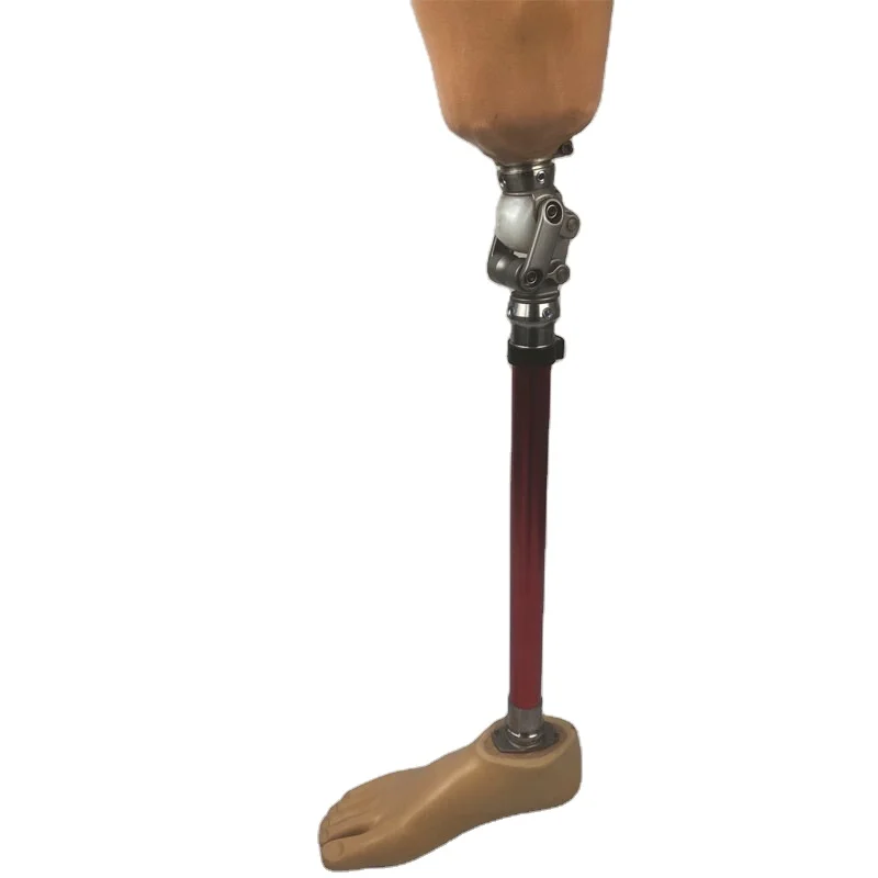 

WDF Artificial Limbs Above Knee Prosthetic Leg