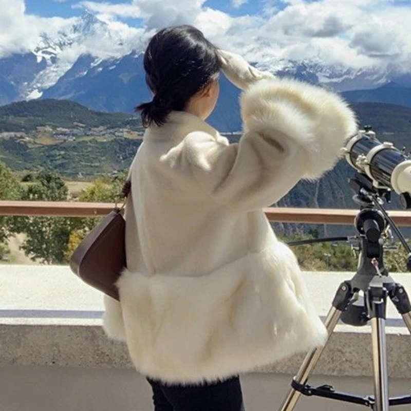 Women's Imitated Mink Coat, Female Short Temperamental Imitation Fox Fur, High-End Stand Collar, Leather Outwear, New, Winter