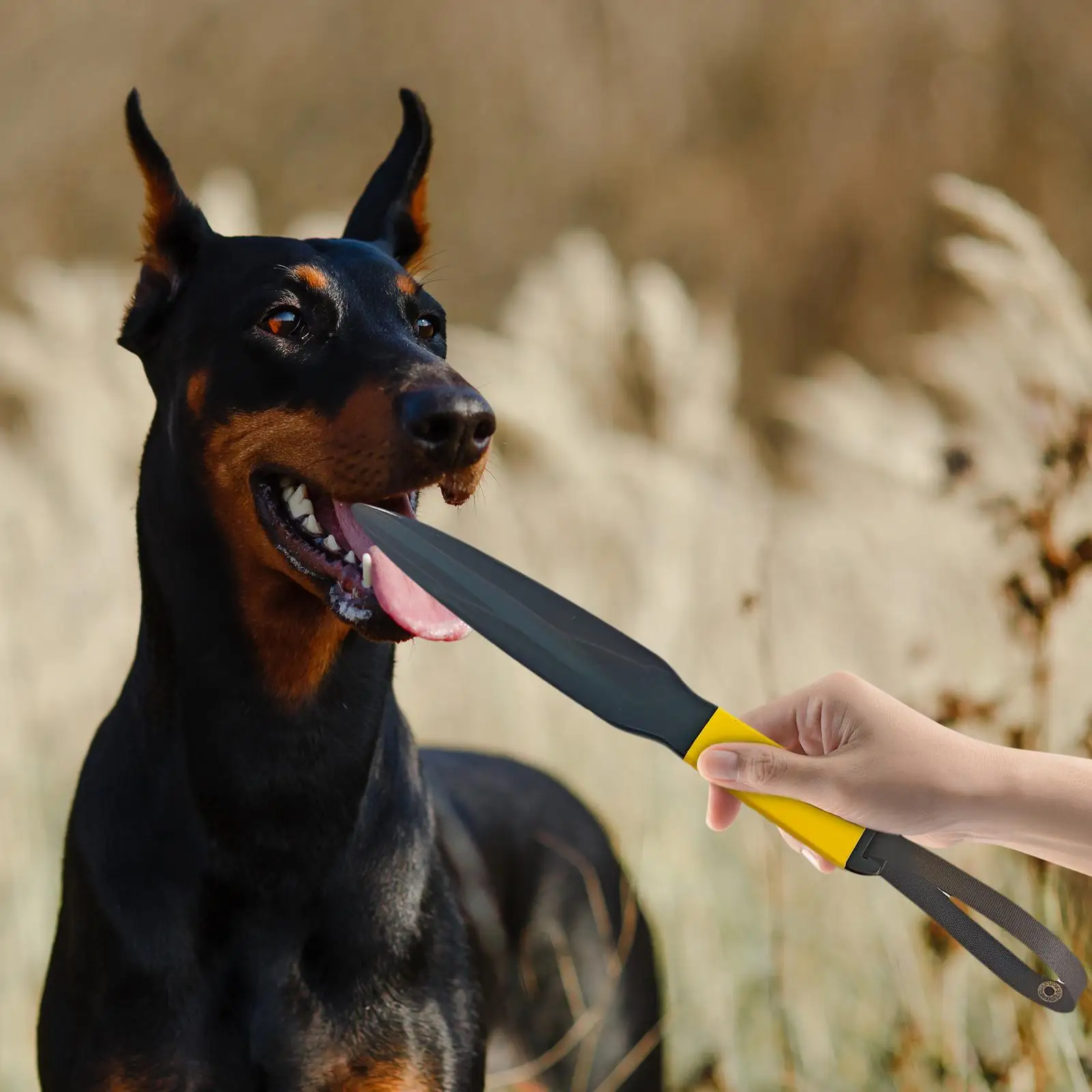 Dog No Biting Sticks Nylon Dog Break Stick Pet Mouth Bite Training Stick Chewing Toy for Pitbull Small Medium Dogs Pet Supplies Dog No Biting Sticks Nylon Dog Break Stick Pet Mouth Bite Training Stick Chewing Toy for Pitbull Small Medium Dogs Pet Supplies