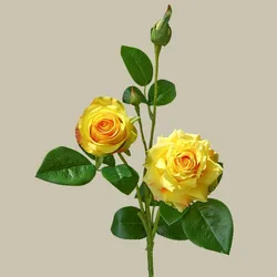 Luxurious Pink Latex Rose Blossom Arrangement - Elegant Real Touch Floral Decor (Yellow)
