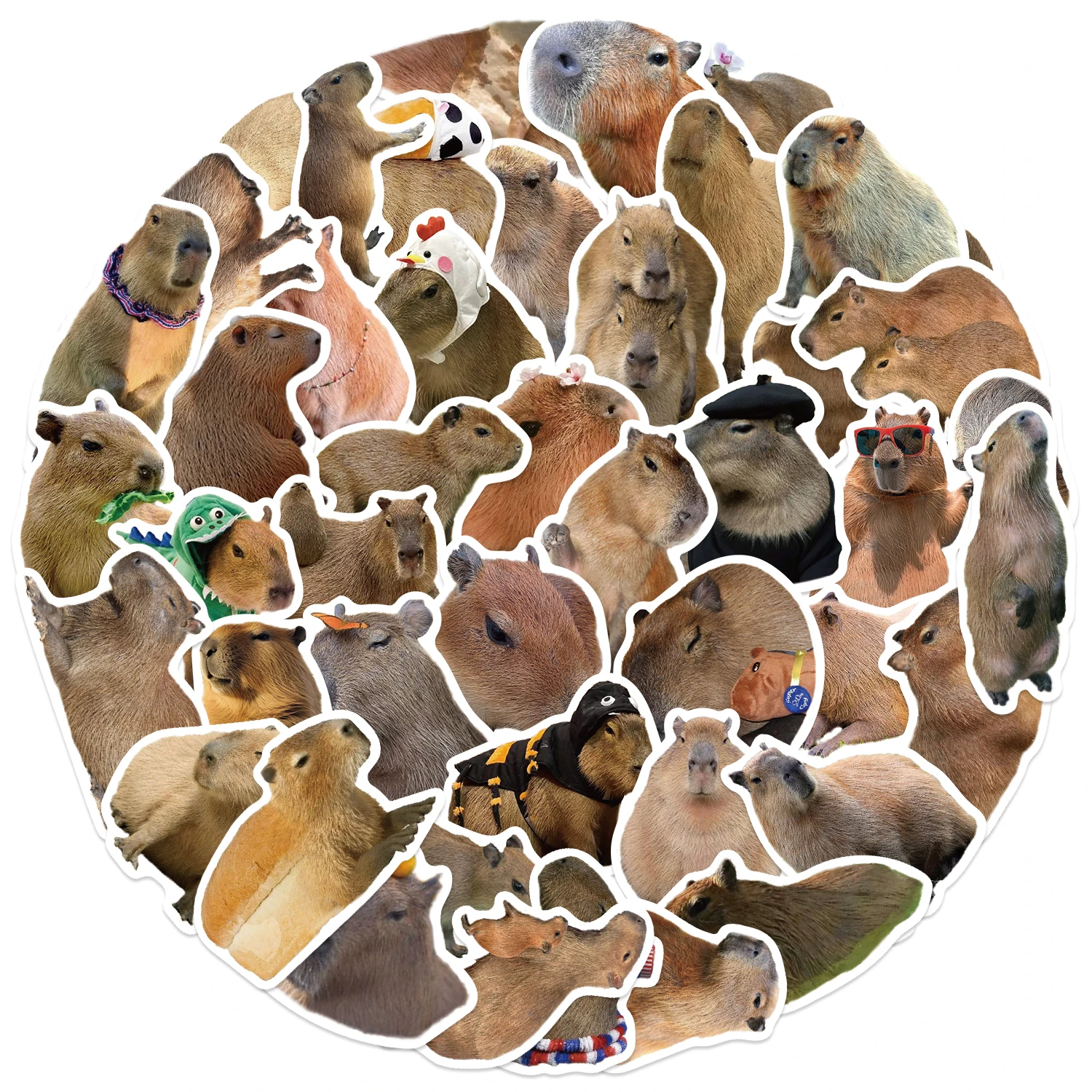 50 Stück Capybara-Tiere-Aufkleber, wasserfest, wiederverwendbar, für DIY-Laptops, Skateboards, Wasserflaschen, perfekt für Partys – Detail 4