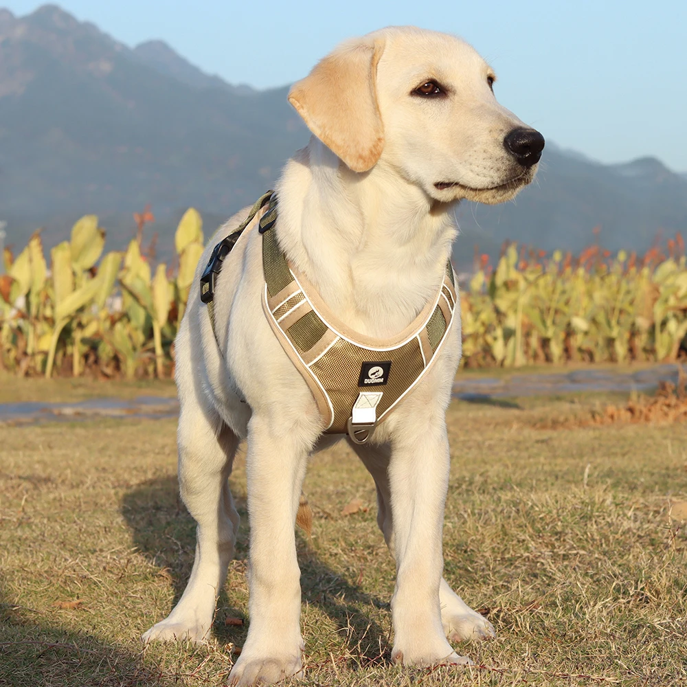 Dog Harness Image 22