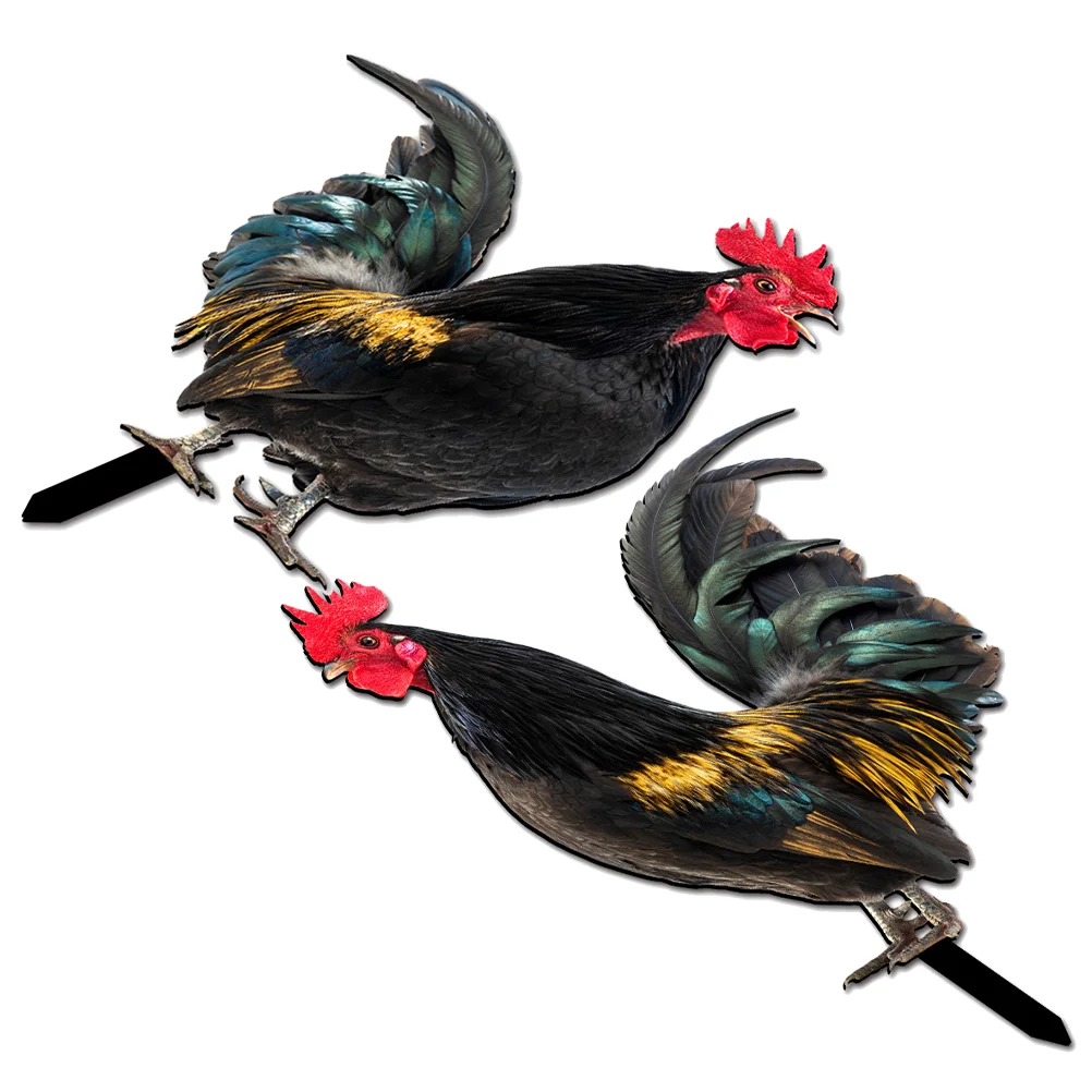 

2 Pcs Garden Rooster Garden Statues Decorative Garden Inserts Chicken Yards Acrylic Stake Outdoor Sign Stakes Courtyard