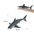 Blue Shark-3