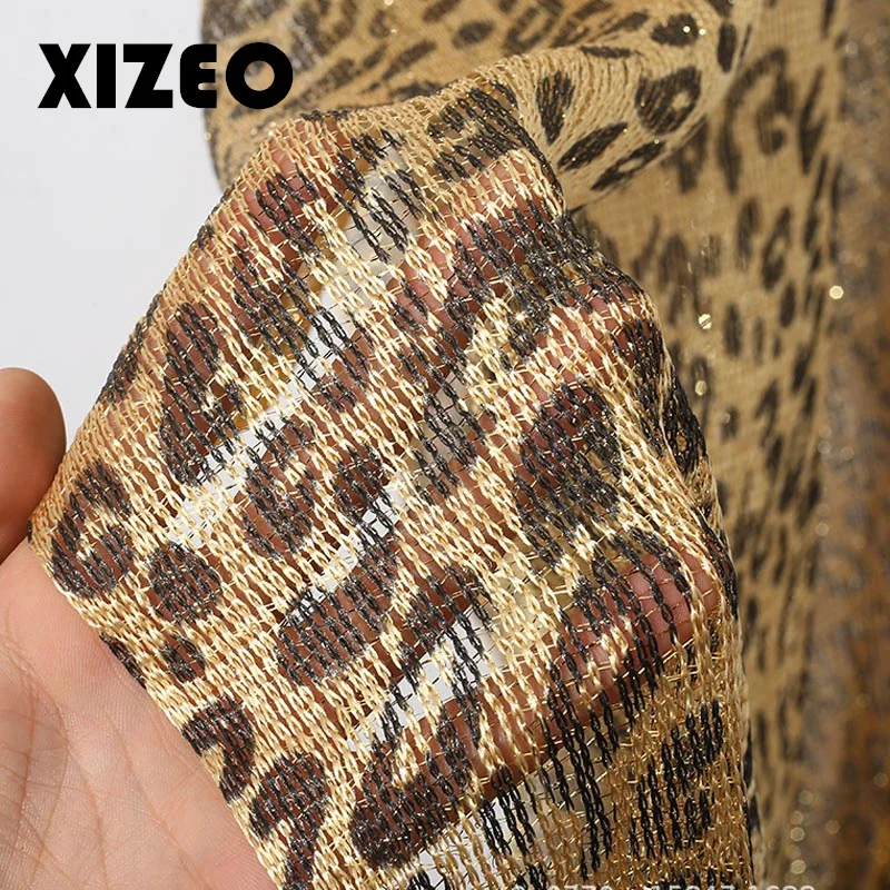 XIZEO 2023 Sexy Fringe Tassel Mesh Sheer Shiny Knitted Tunic Beach Cover Up Cover-ups Beach Dress Beach Wear Beachwear Female