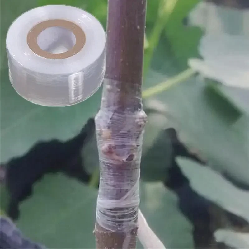 1 롤 2/2.5/3CM PE 접목 테이프 필름 자체 접착 정원 나무 식물 묘목 포도 나무 토마토 접목 액세서리 신축성