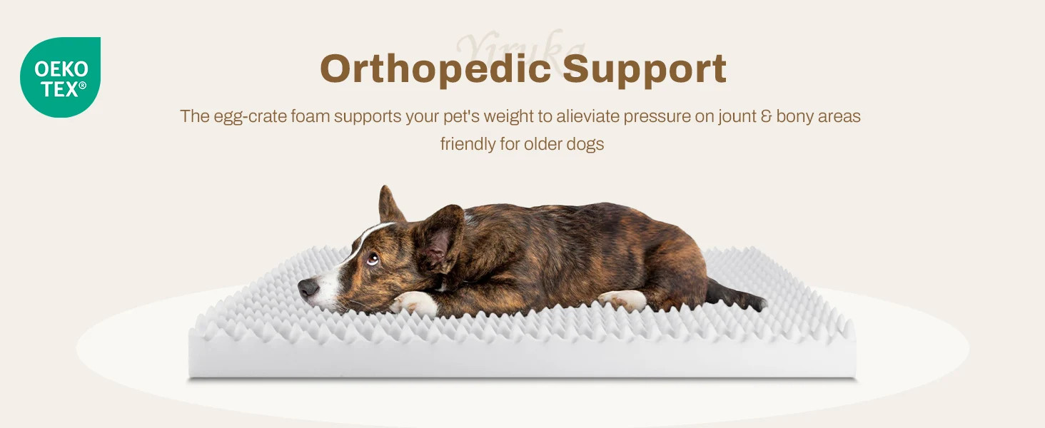 orthopedic dog bed