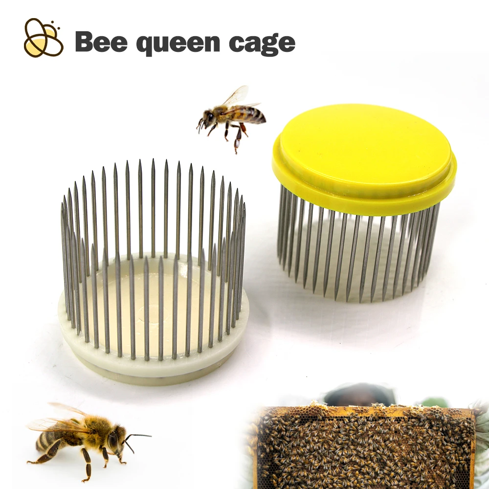 Beekeeping Queen Bee Cage Stainless Steel Needle Beehive Tool Rearing Cover Catcher Captivity Cells 2-10Pcs