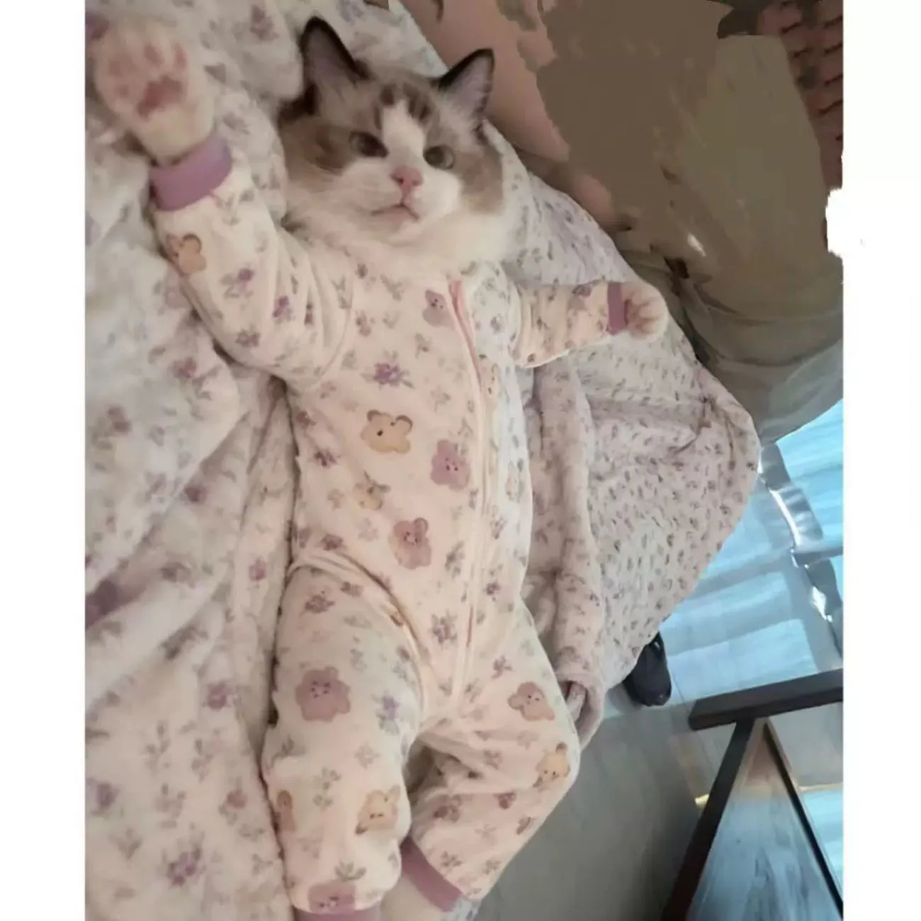 고양이 귀여운 따뜻한 잠옷 고양이 새 집 편안한 네발 스타일