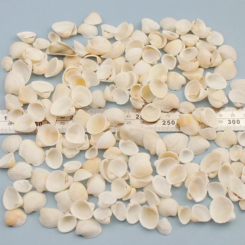 1Bag Natural Mini Conch Mediterranean Colored Mixed Real Small Sea Shells Aquarium Nautical Decoration Ornaments natural shell ornaments