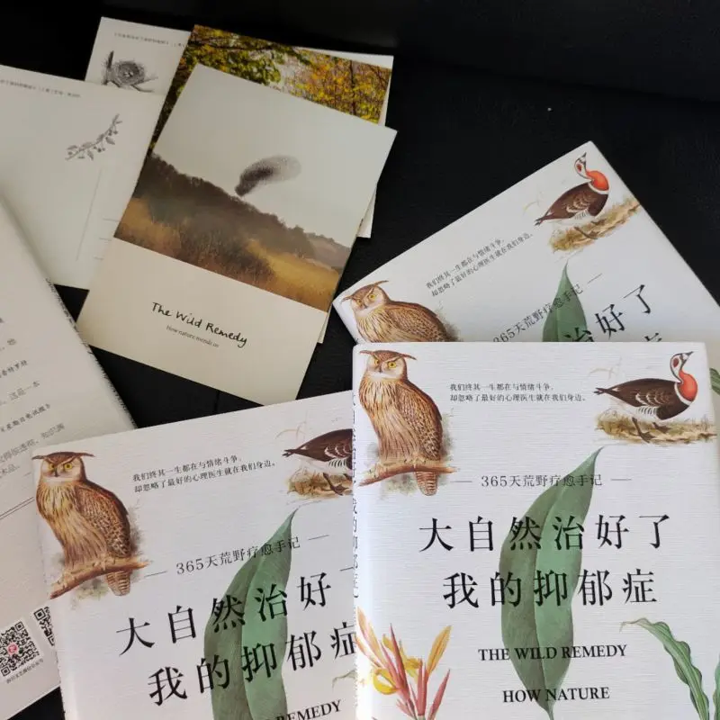 Рисунок 6 - Естественное восстановление моей депрессии