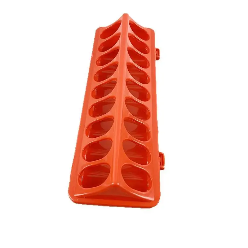 Poultry Feeder & Drinker 6