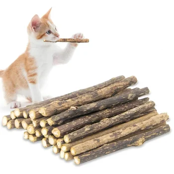 15pcs Natural Matatabi Cat Catnip Toy Kitten Molar Chew Stick Pet Cleaning Teeth Cat Treat Toy Actinidia Silvervine Pet Products 1