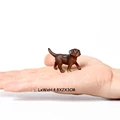Labrador retriever-1