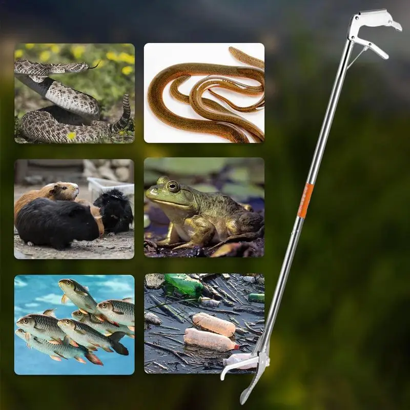 Slide image 1e5a2d7a1e564176a53e13f6747af07f