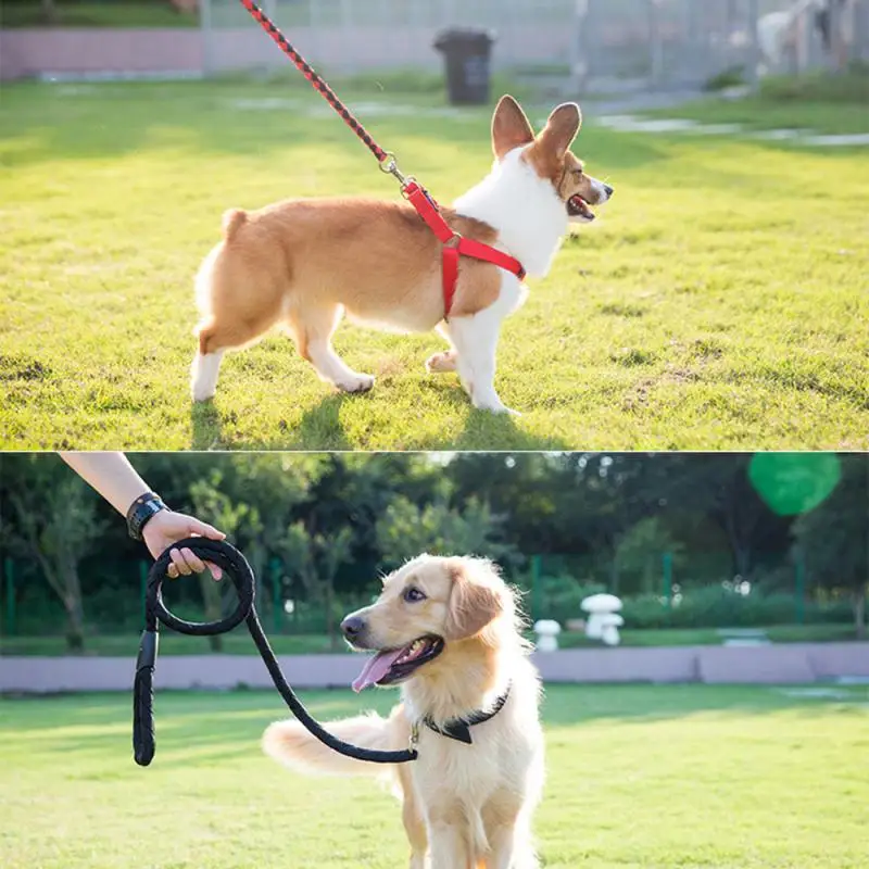 

1 Pc Pet Traction Rope Reflective Silk Traction Dog Rope Nylon Dog Chain Anti Collision Small And Medium Sized Dog Reins