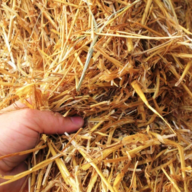 100pcs 20cm Disposable Wheat Drinking Straws Eco-Friendly Natural Portable